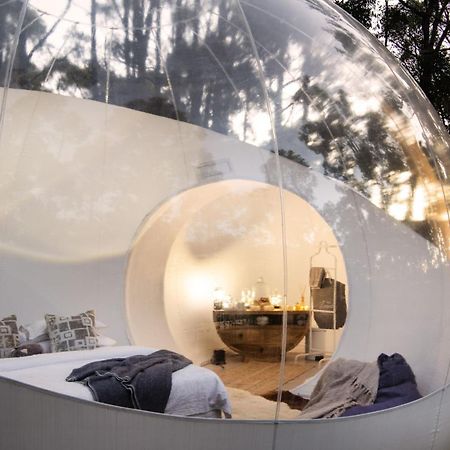 Skyview Bubbletent Eganstown Extérieur photo