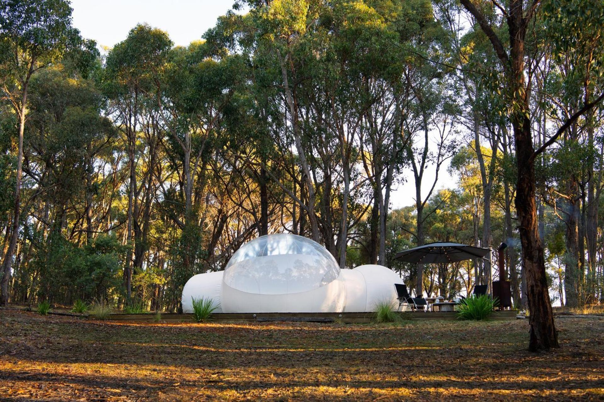 Skyview Bubbletent Eganstown Extérieur photo